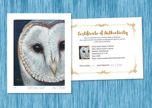 Barn Owl Limited Edition Print