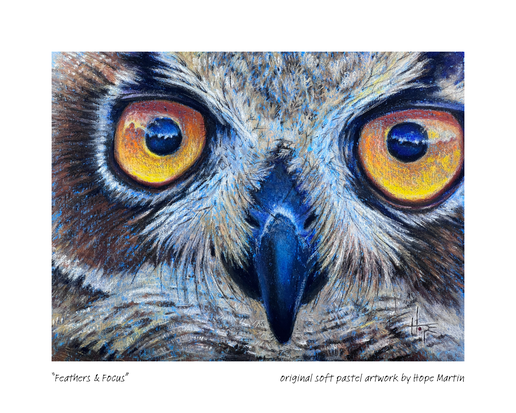 Barred Owl Print