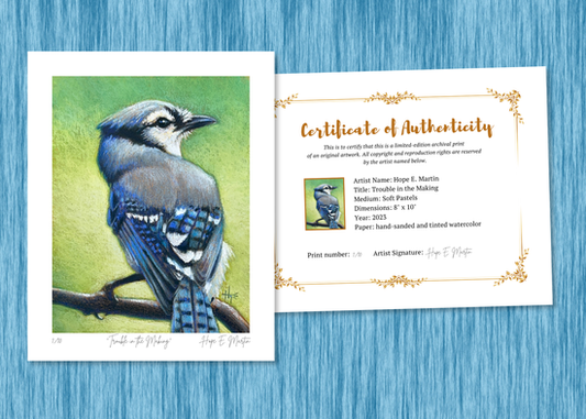 Blue Jay Limited Edition Print