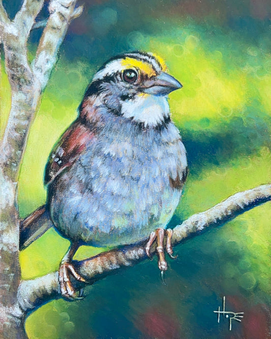 White-throated Sparrow card